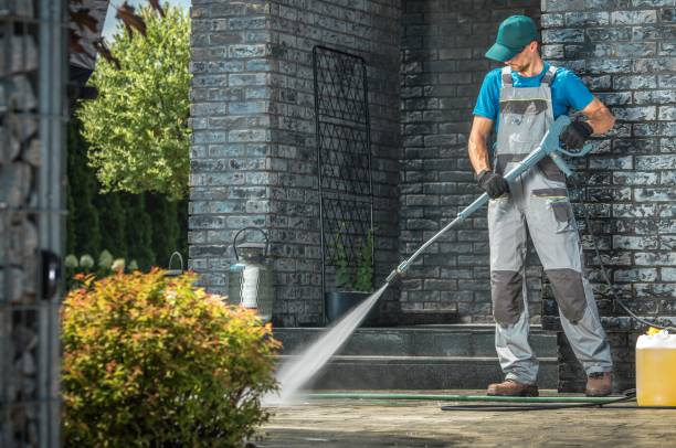 Best Solar Panel Cleaning  in Jamesburg, NJ