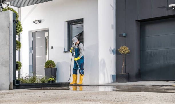 Best Driveway Pressure Washing  in Jamesburg, NJ